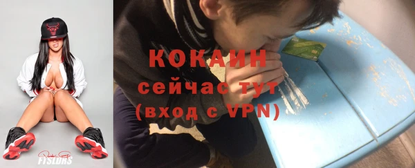 крисы Бронницы