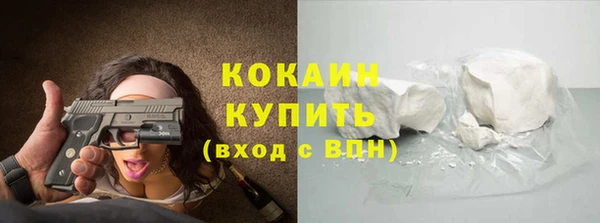 крисы Бронницы