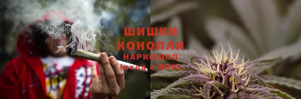 крисы Бронницы