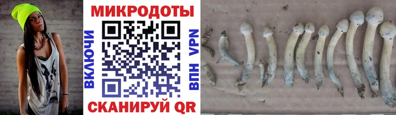 Купить закладки  Сухиничи  Галлюциногенные грибы MAGIC MUSHROOMS 